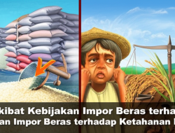 Akibat Kebijakan Impor Beras terhadap Ketahanan Pangan