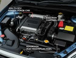 Apa Itu ECU serta Kenapa Pokok buat Penampilan Mobil?